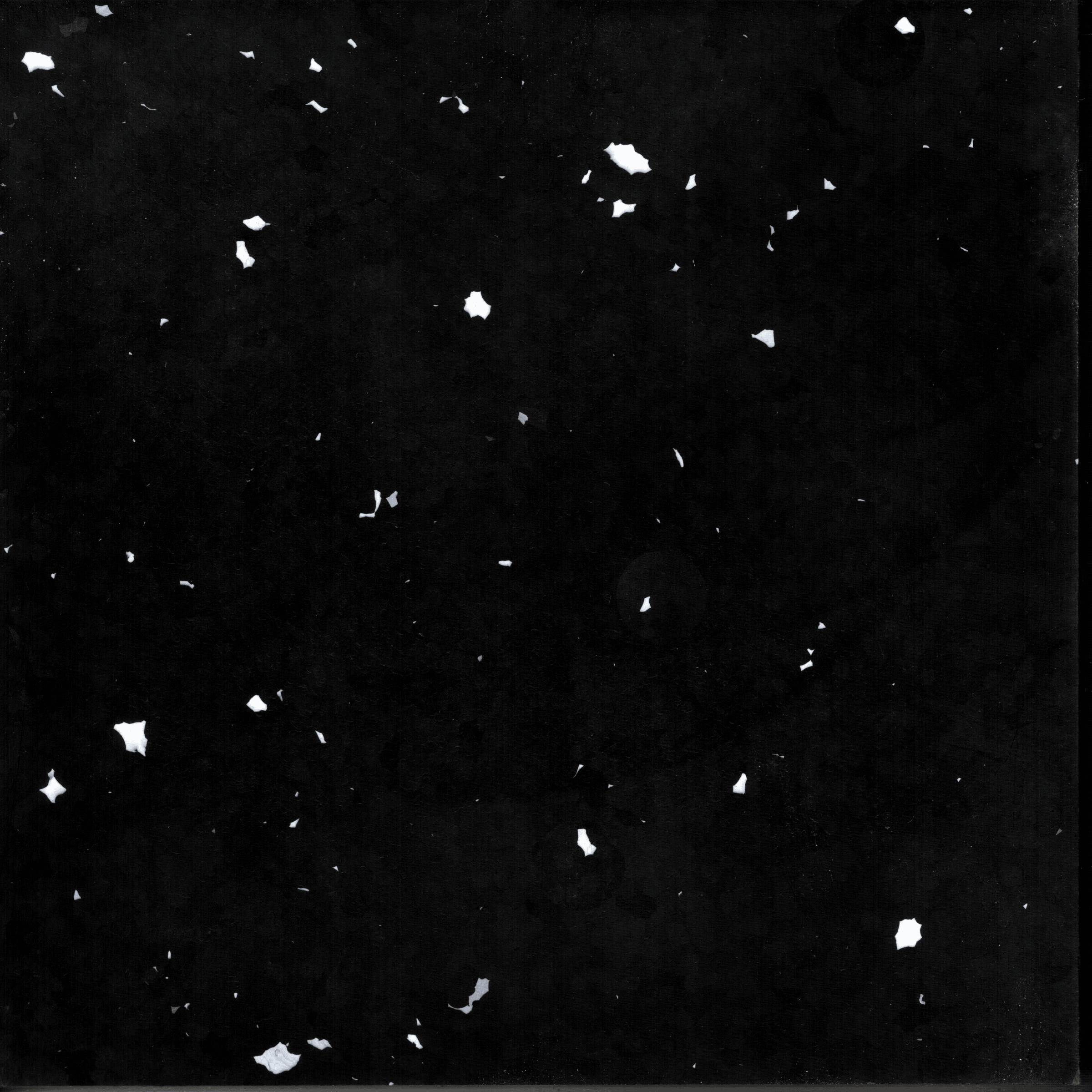 Salt Rock — surface detail.